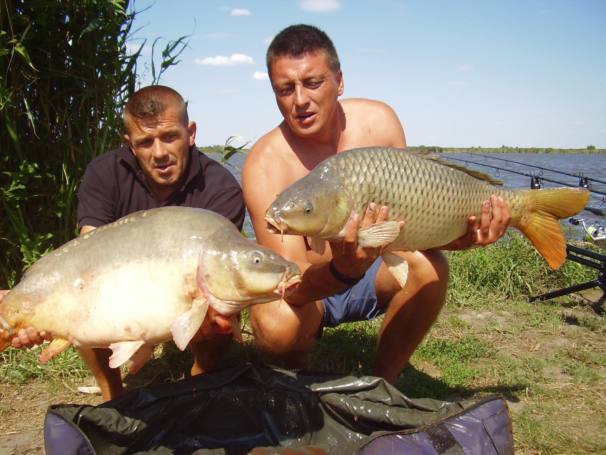 Alejandro Carp Team - Ohat Ungaria 2013 - p5060008.JPG